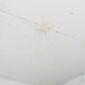 water stains on ceiling 85x85